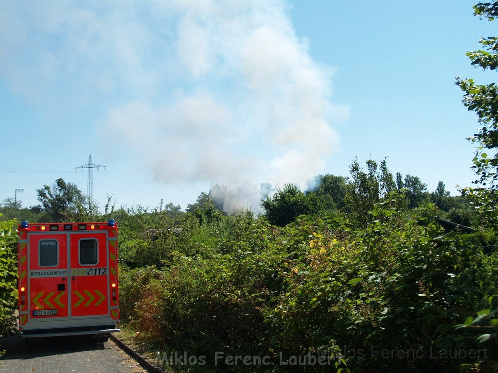 Gartenlaube in Vollbrand Koeln Poll Im Gremberger Waeldchen P001.JPG